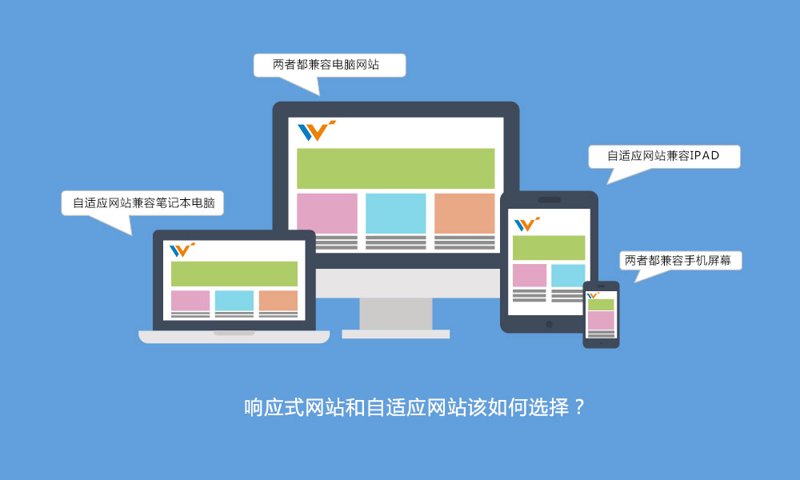 电商平台开发：选择开源框架还是自建系统？