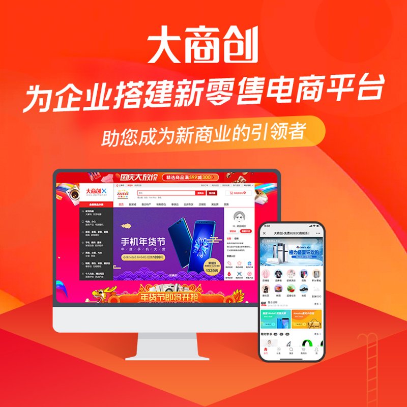 电商平台开发：一个成功案例的深度解析